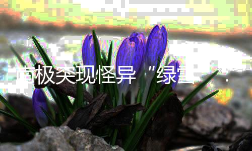 南极突现怪异“绿雪”:世界气候变暖所致