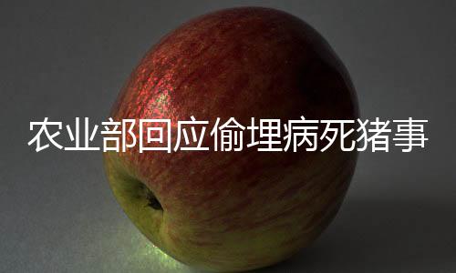 农业部回应偷埋病死猪事件:严查违法违规行为