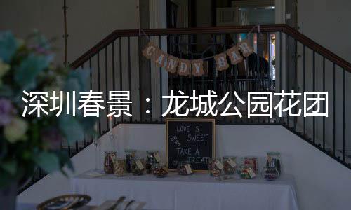 深圳春景:龙城公园花团锦簇 一片生机勃勃
