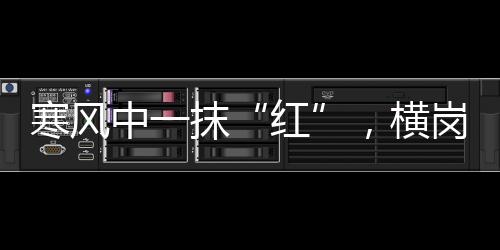 寒风中一抹“红”,横岗志愿者在行动!